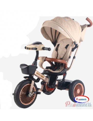 Triciclo Evolutivo Voyage Golden - Beige  - 1